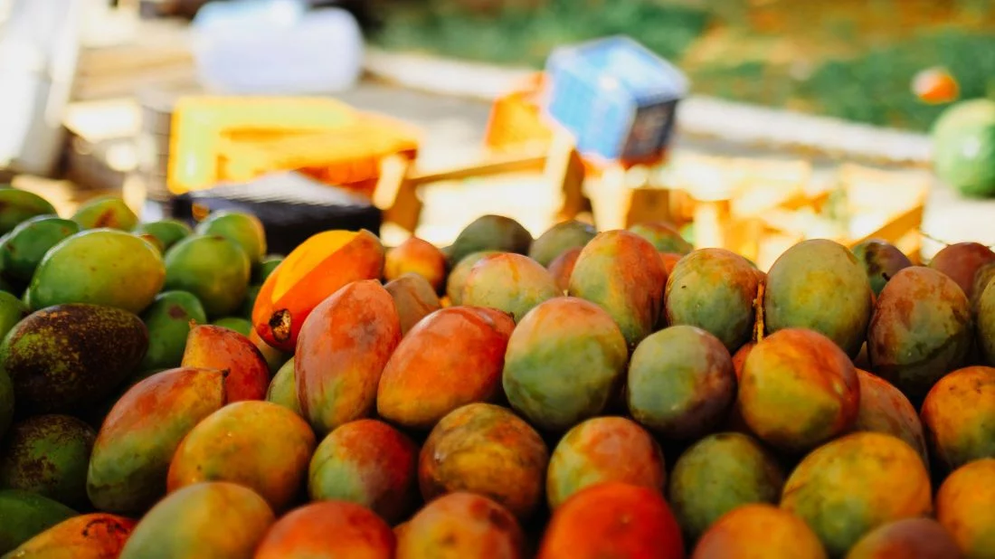ফল রপ্তানি ২০২৫