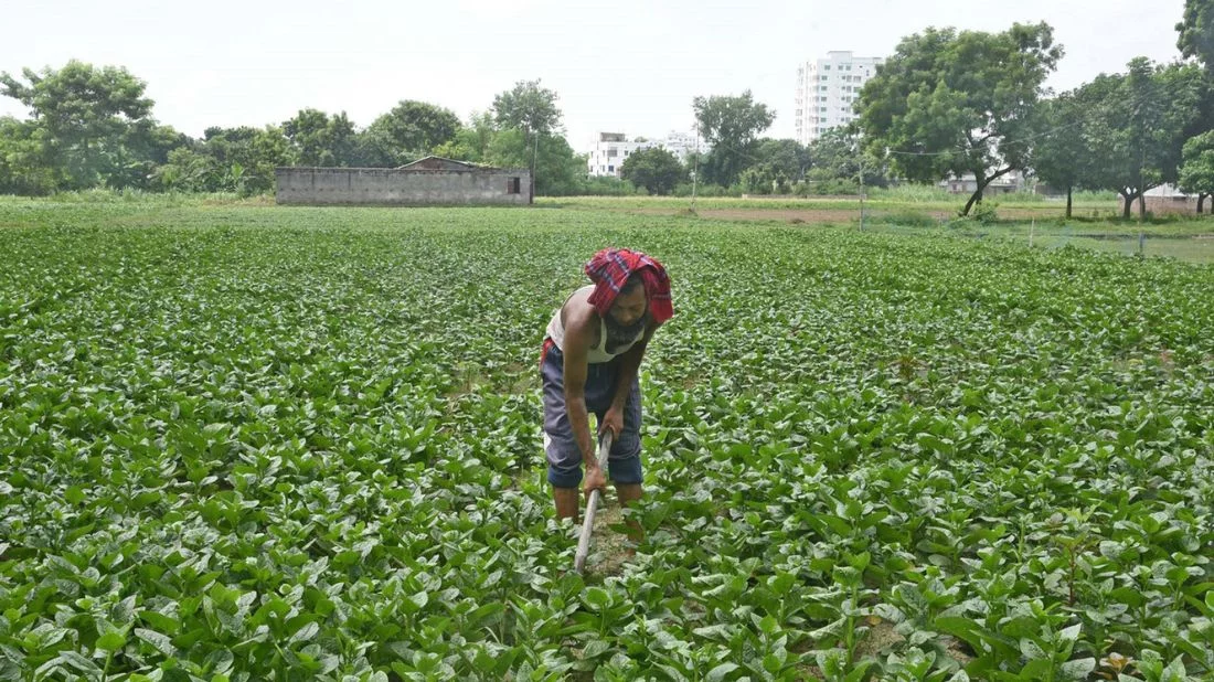 আর্থিক সহায়তা